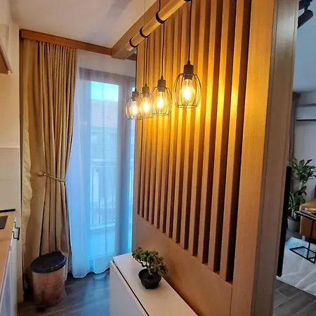 Najdanovic Apartment