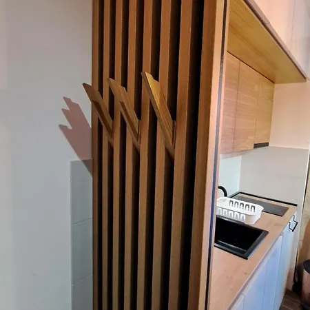 Najdanovic Apartment Vrnjacka Banja