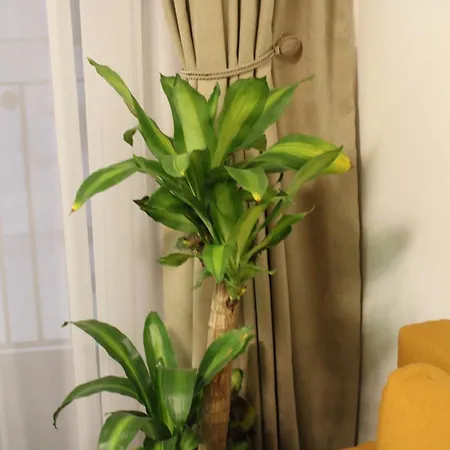 Najdanovic * Vrnjačka Banja