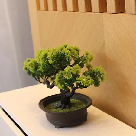 Najdanovic アパート *