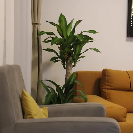 Apartman Najdanovic Vrnjačka Banja