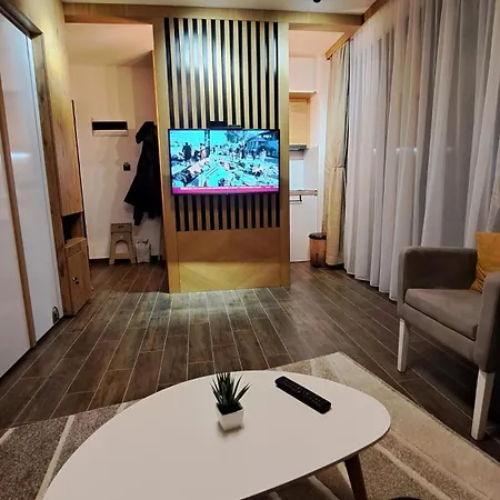 Najdanovic Apartment *