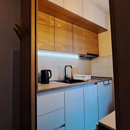 Najdanovic アパート Vrnjačka Banja