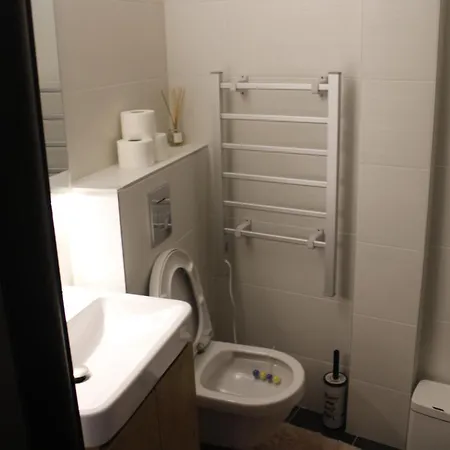 Najdanovic アパート Vrnjačka Banja