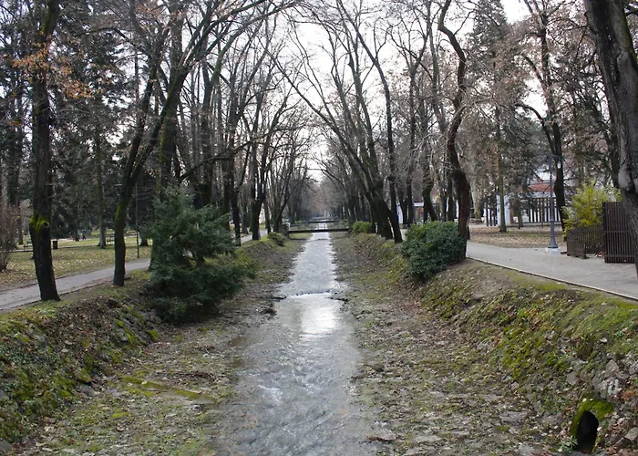 Najdanovic Centar 아파트 Vrnjačka Banja