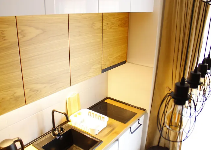 Apartamento Najdanovic Centar Vrnjačka Banja