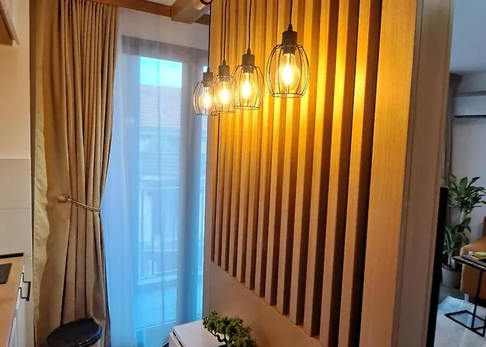 Najdanovic Centar Apartamento