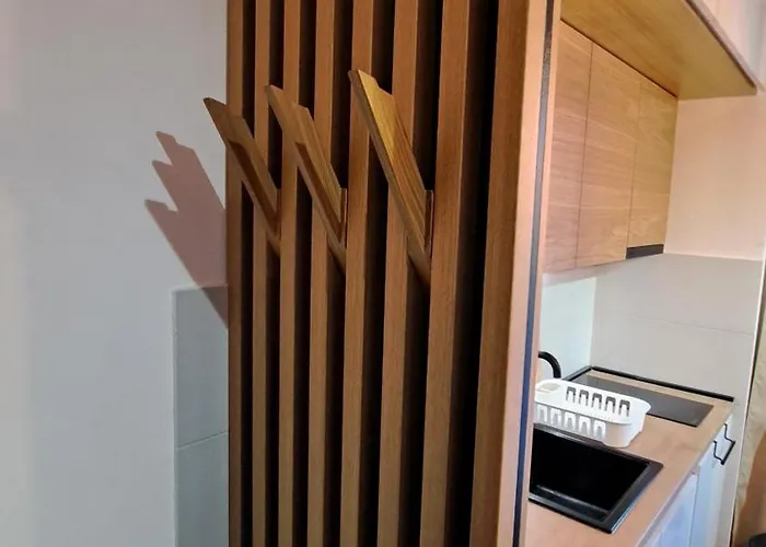 Najdanovic Centar 아파트 Vrnjačka Banja