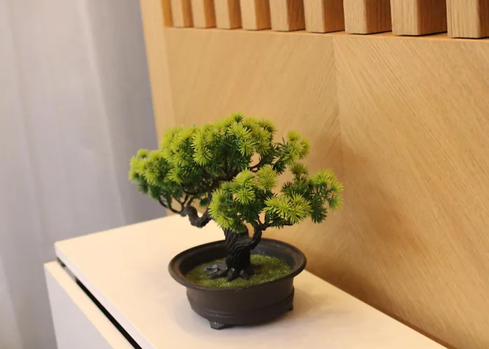 Najdanovic Centar Apartamento *