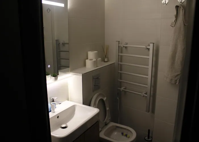 Najdanovic Centar Apartamento