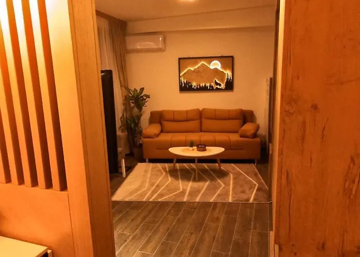 Najdanovic Centar Apartamento