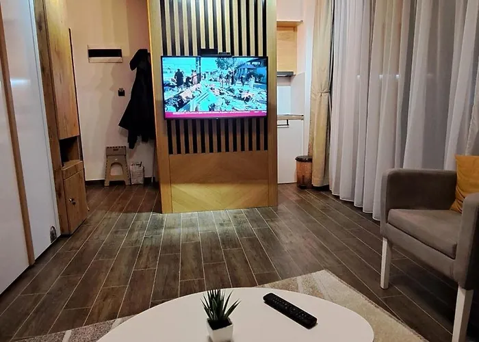 Najdanovic Centar 아파트 *